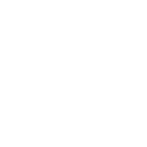 security-p-500×500